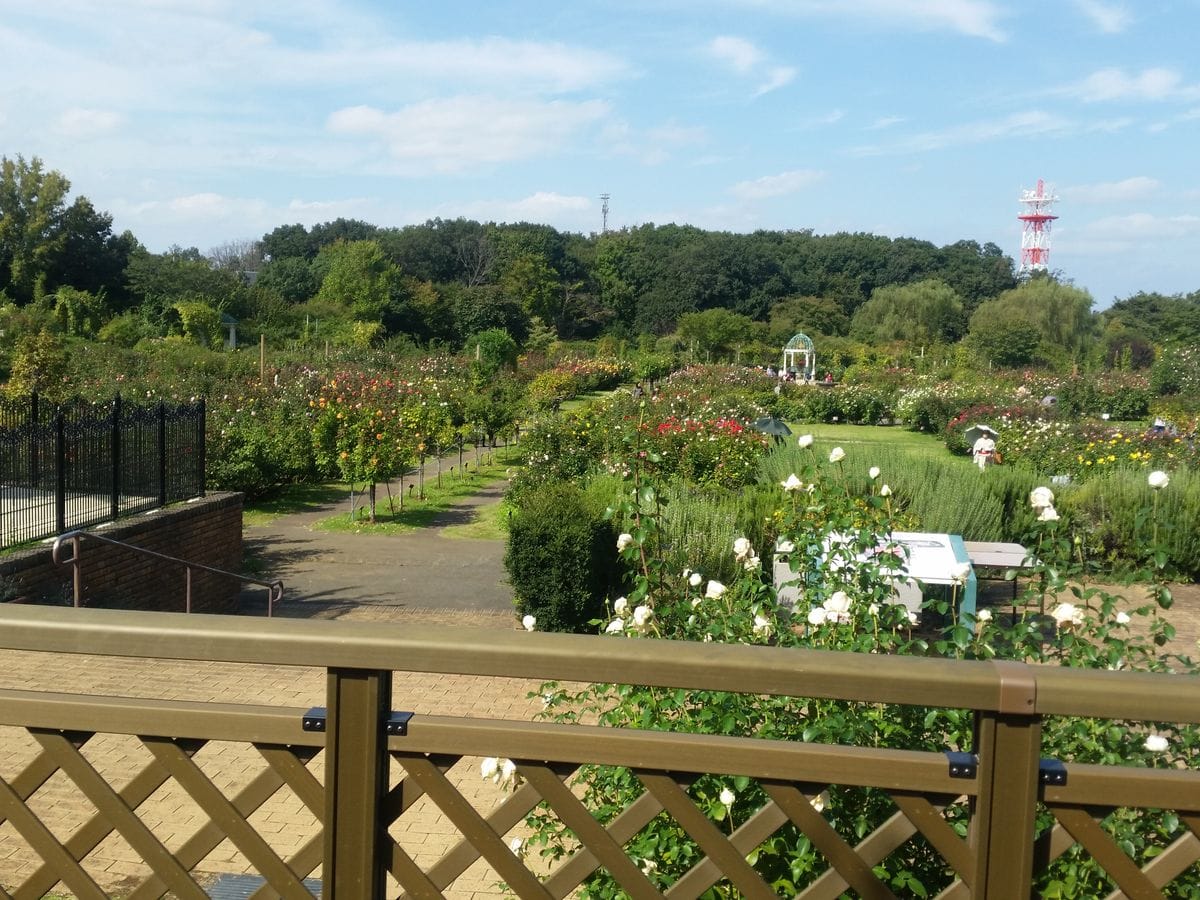 京成バラ園