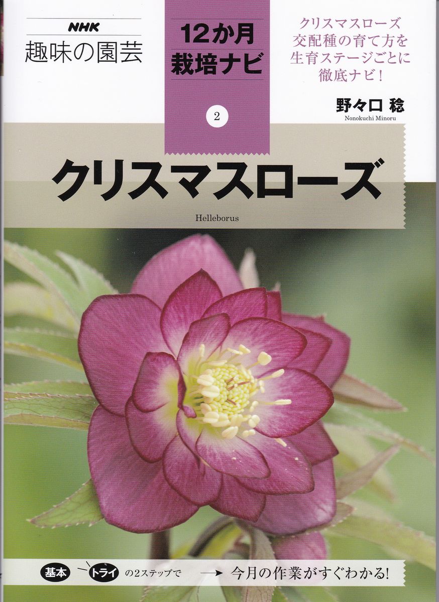 あなたの質問に答えます！クリスマスローズについての疑問、大募集！『趣味の園芸』1...