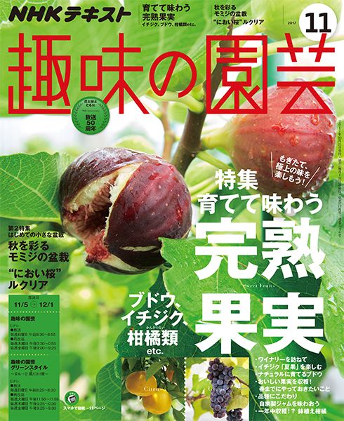 【テキスト掲載情報】『趣味の園芸』11月号に掲載されたメンバーを発表！