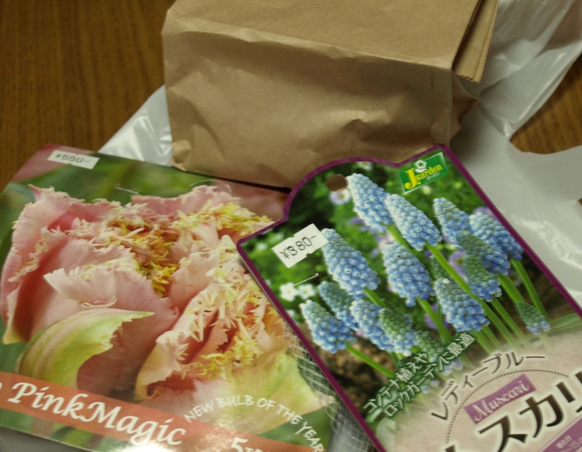 古典菊・薔薇の実・秋植え球根