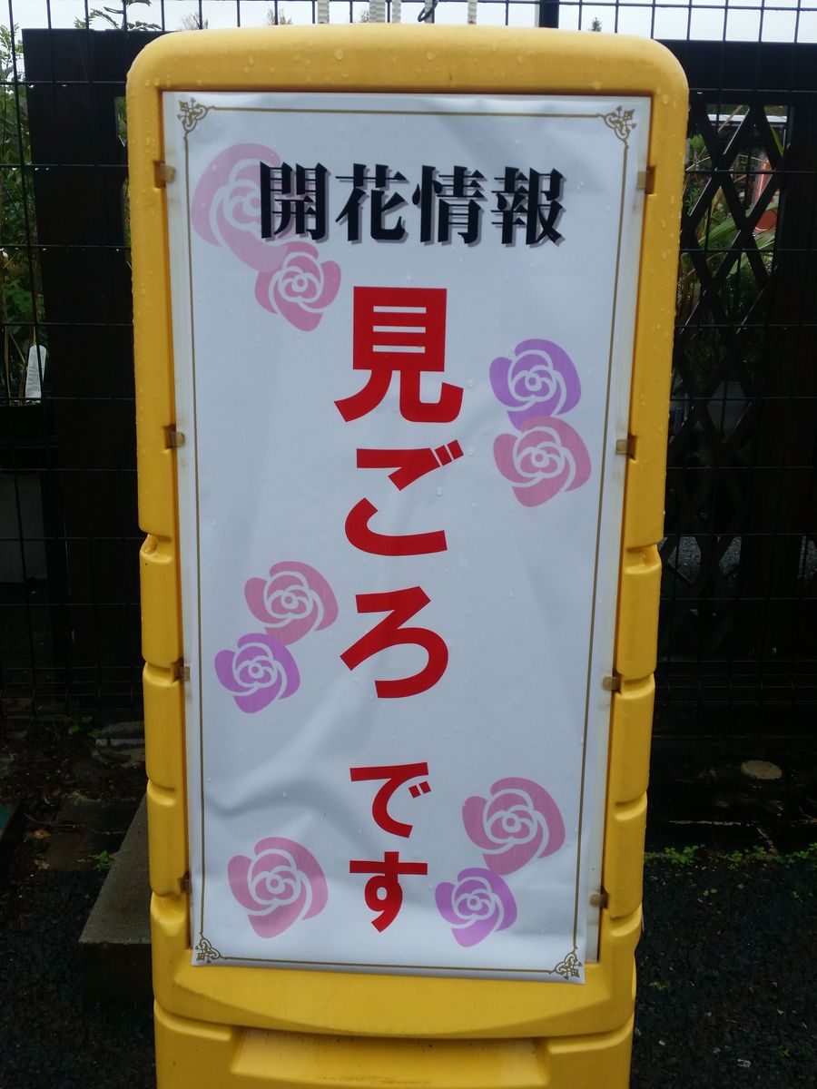 京成バラ園で講習会