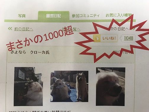 菊ローカ氏と共にいいねボタン1000超え来たる！