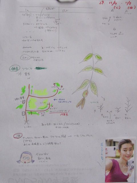 理想の日記がなかなか作れない