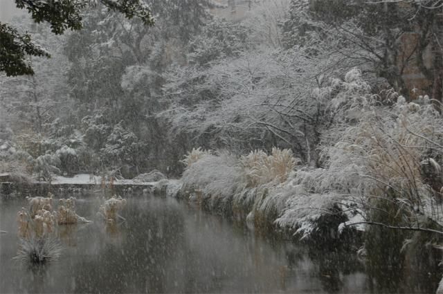 2011年 振り返り写真館～２月～