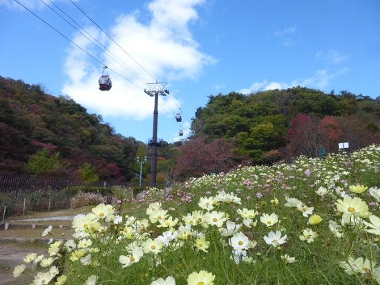 行って来ました①