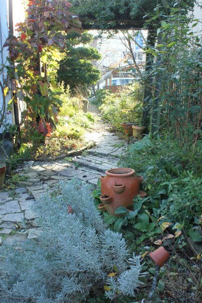 日陰通路のお掃除