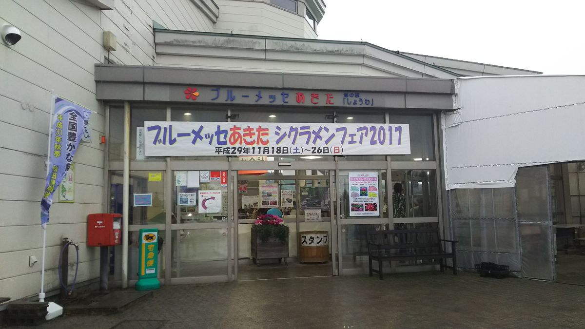 シクラメン