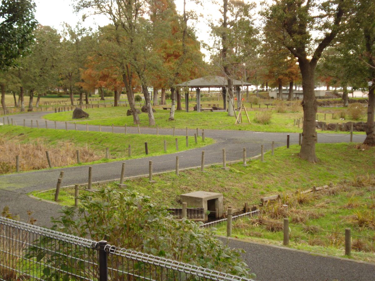 水元公園に行ってきました①