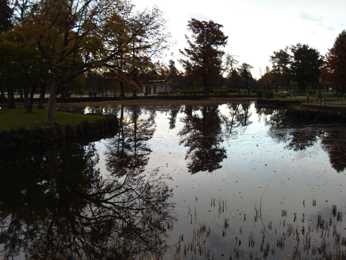 水元公園に行ってきました①