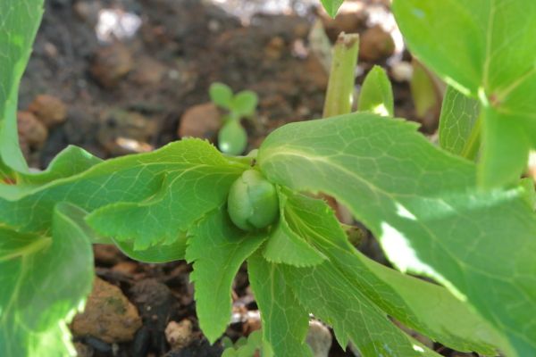 「終わりの季節」と季節の始まり