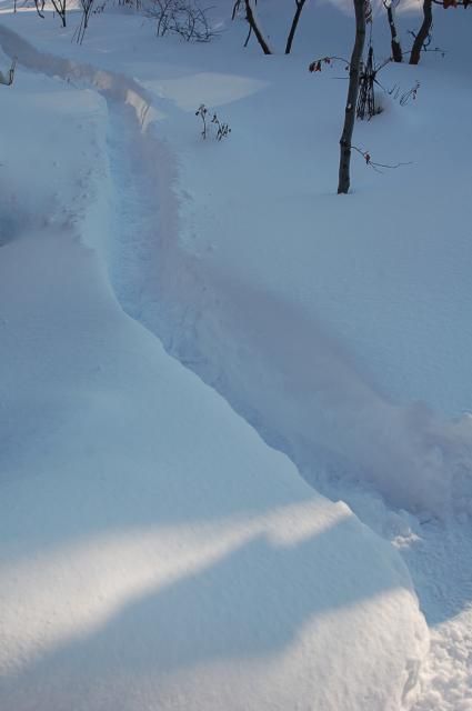 吹雪のち晴れ