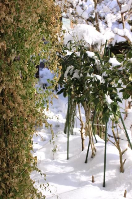 「厳しい寒さで沢がすべて凍る頃」