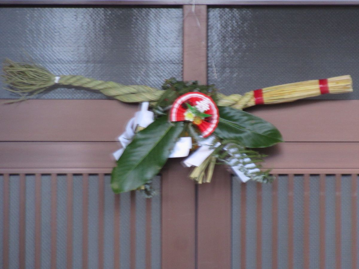 由愛(ゆめ)の花日記♪