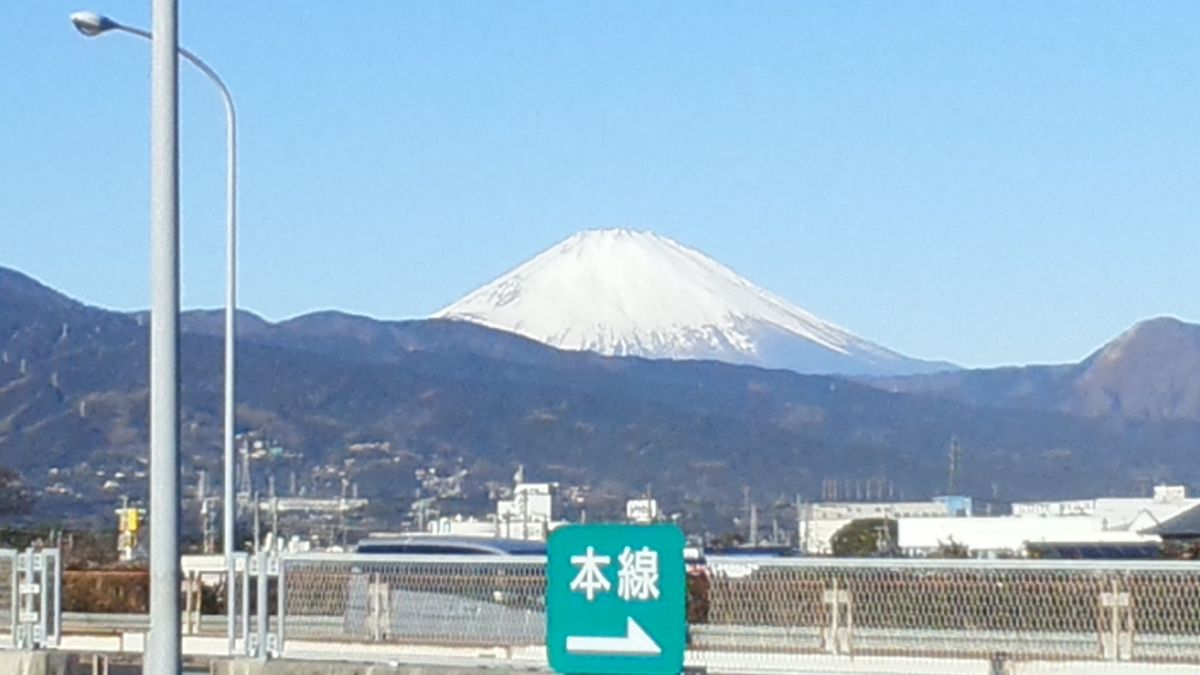 小田原フラワーガーデン