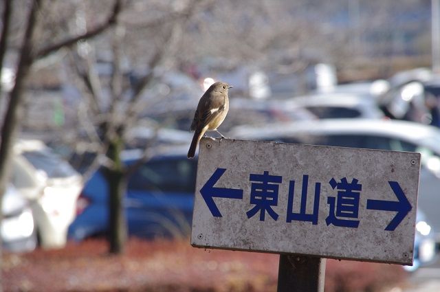 [i:1]今日はいい天気～