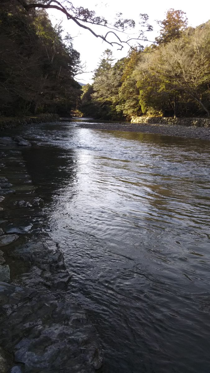 伊勢神宮 参拝