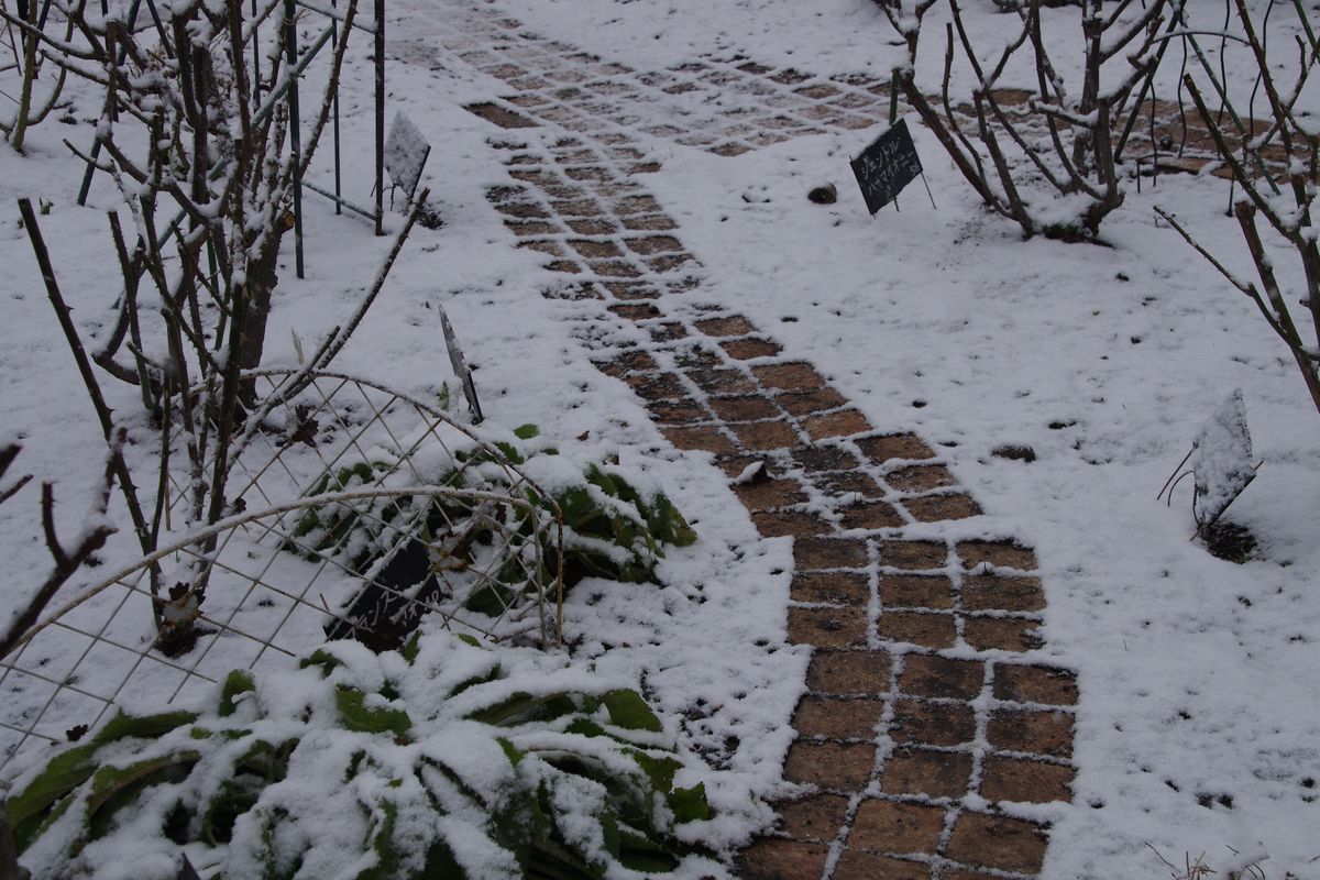 大雪の予感