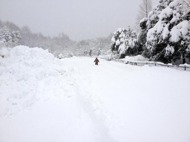 大雪警報！！