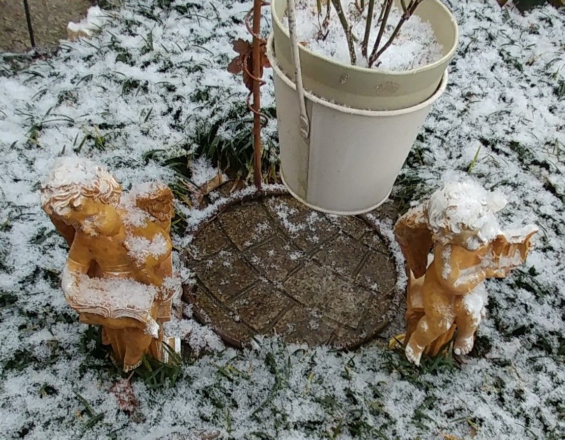 今になって❄️