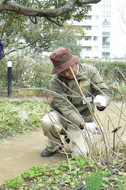 樹木の剪定を実践で学ぼう！