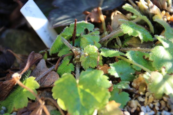 毎日の幸せ🌱