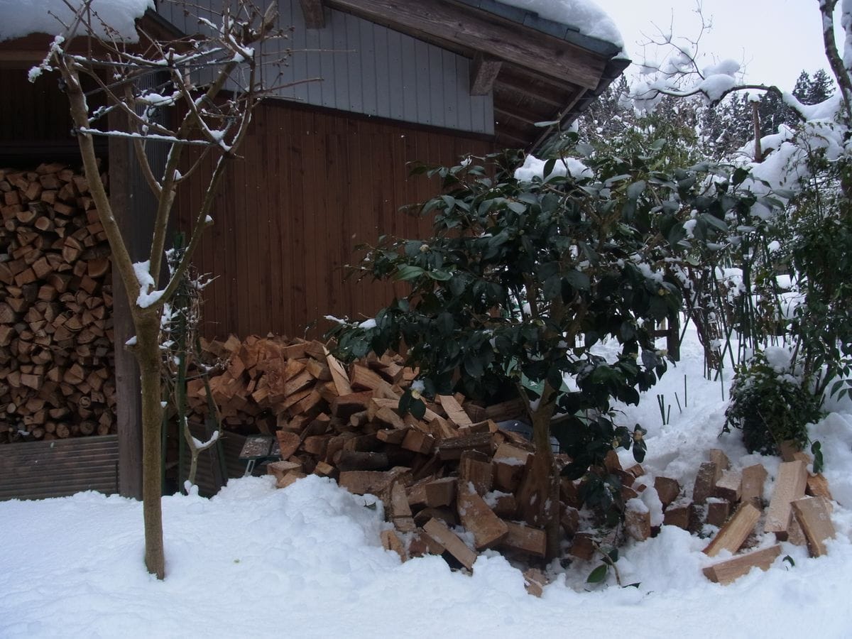 毎週続く大雪予報…