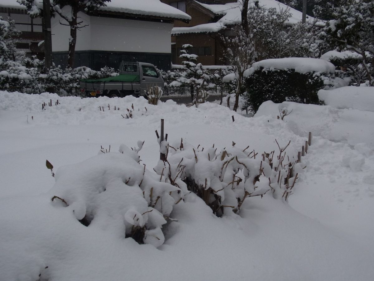 毎週続く大雪予報…