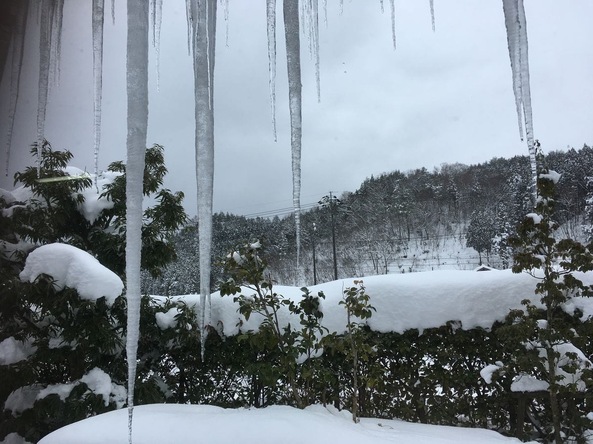 温泉から苔まで