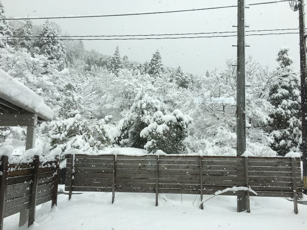 今日もまた雪