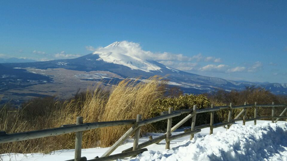 のんびりしてきました