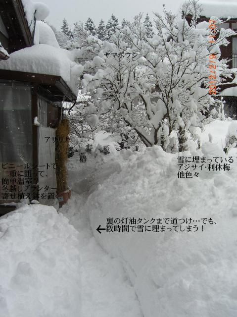 雪を…ほげて見た～！