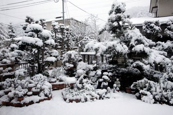 怒濤の冬将軍，狂気の闖入