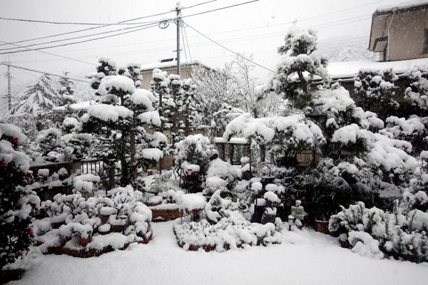 怒濤の冬将軍，狂気の闖入