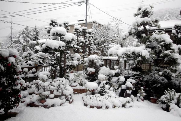 怒濤の冬将軍，狂気の闖入