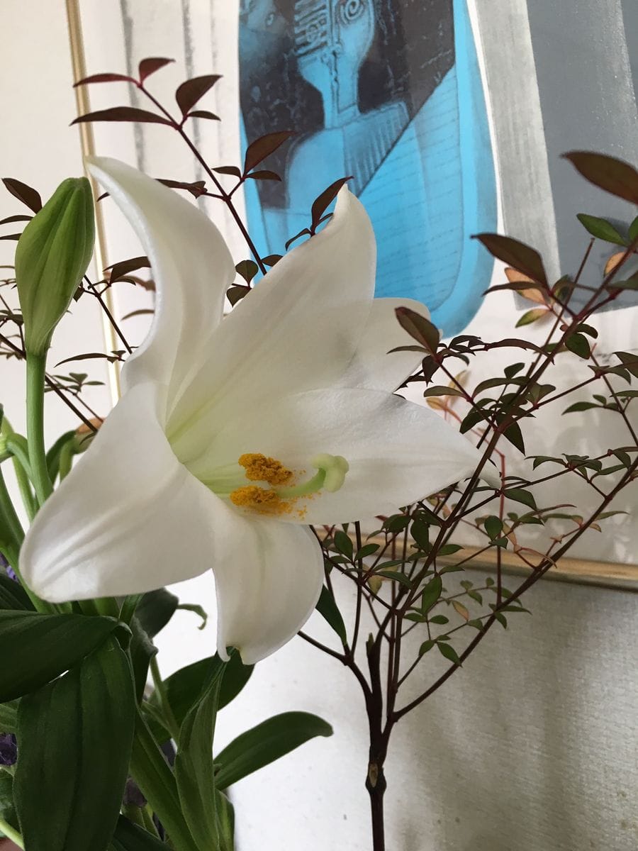 氷上の花たち