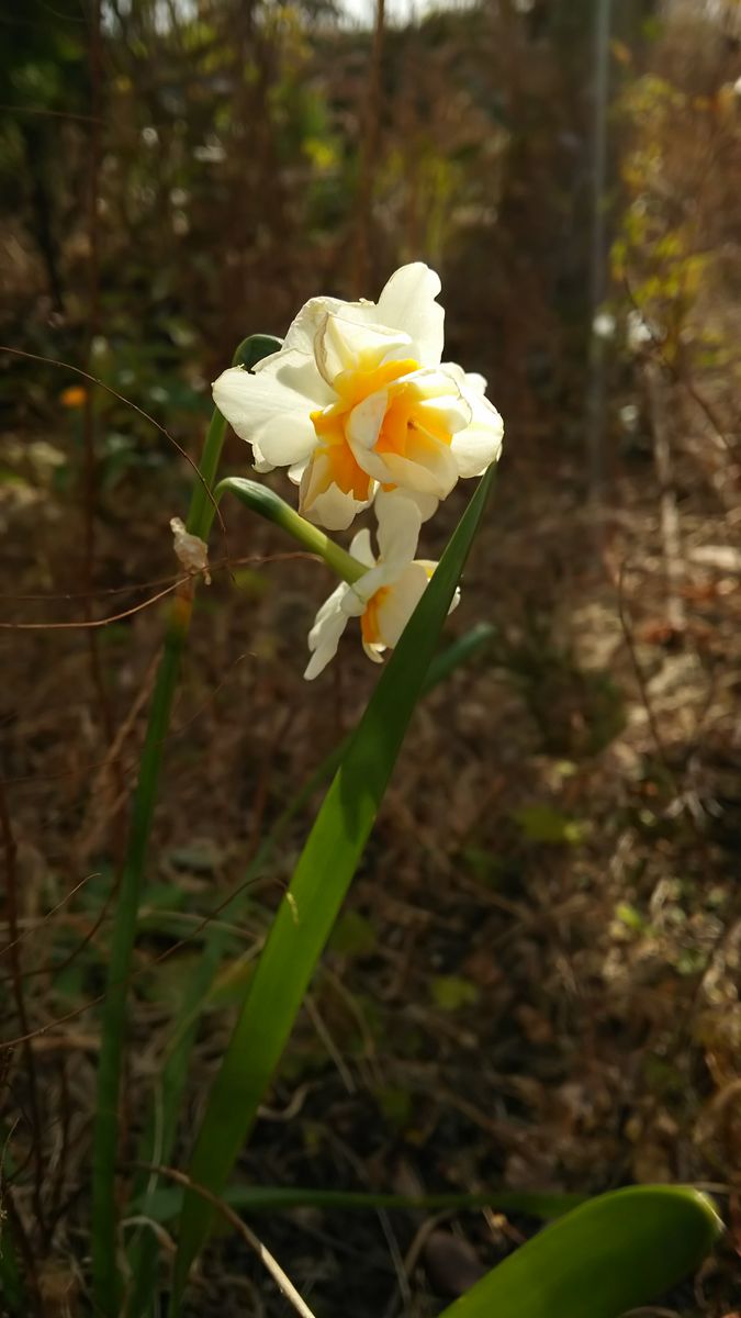 今日はATCへ行っておりました。