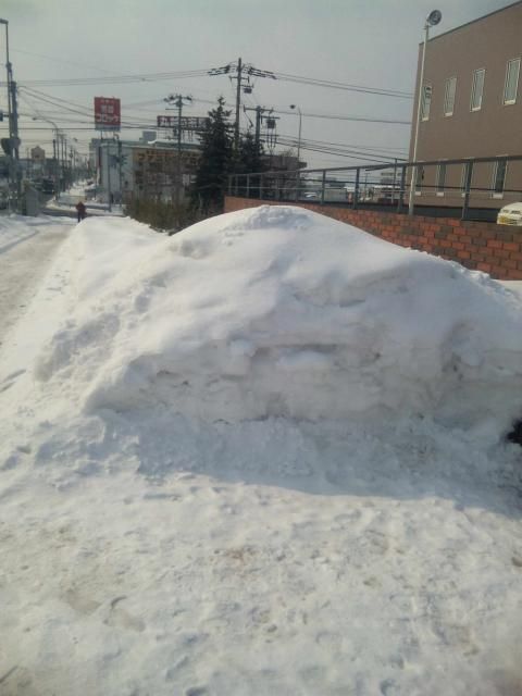 札幌から戻ってきました