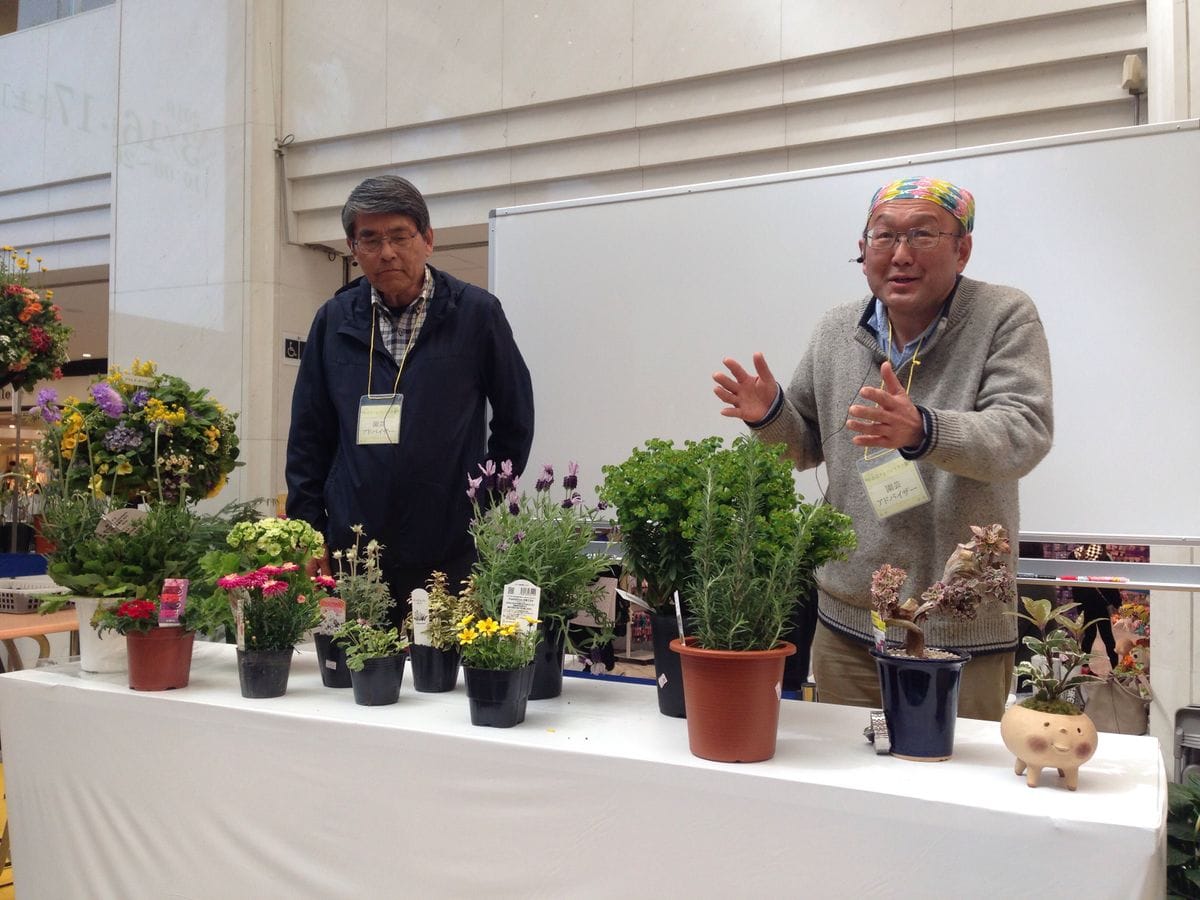 春の花々とクレマチス展③