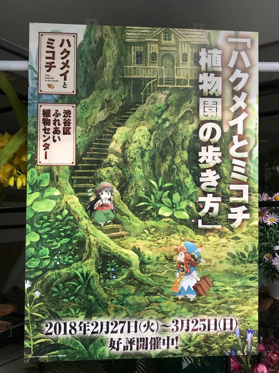 ハクメイとミコチ ×渋谷区ふれあい植物センターコラボレーション企画  「植物園の歩き方」展開催中