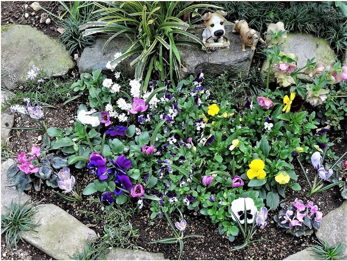 小さな花壇にすべて花開く