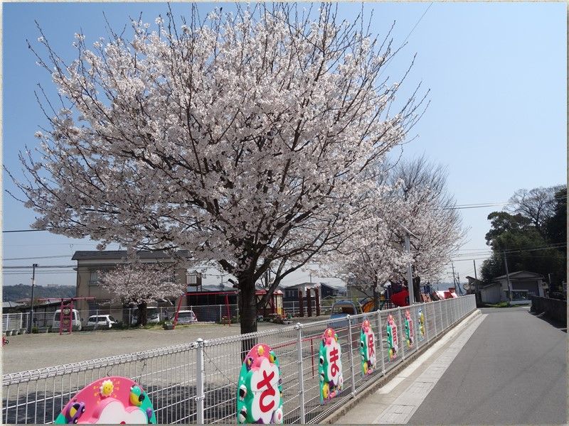 今日は保育園の卒園式