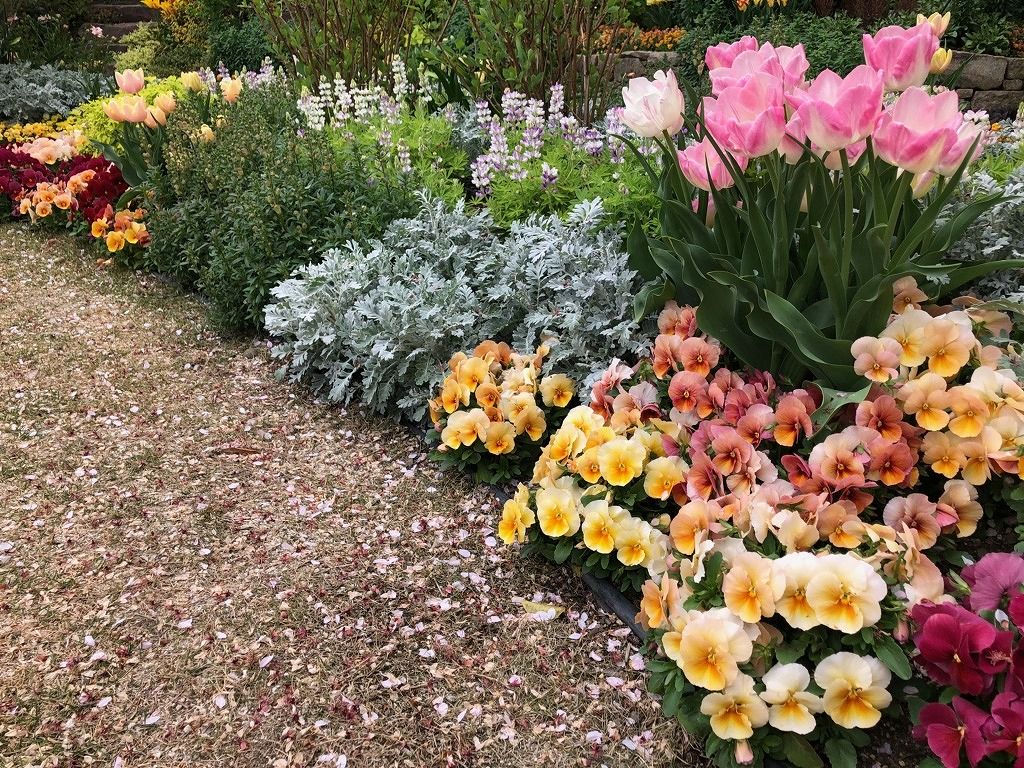 チューリップと春の草花