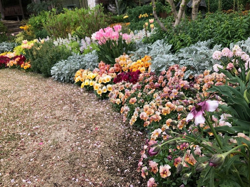 チューリップと春の草花