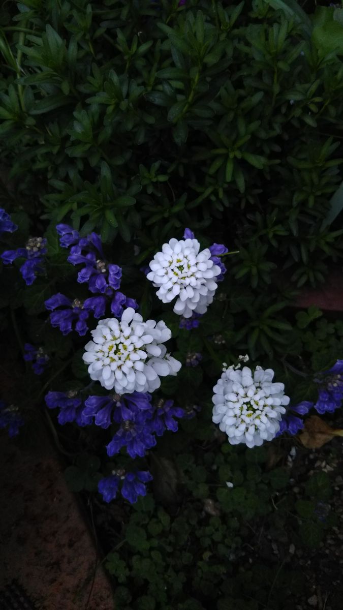 雨がポツリ🌧️と