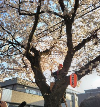 花咲かじいさん