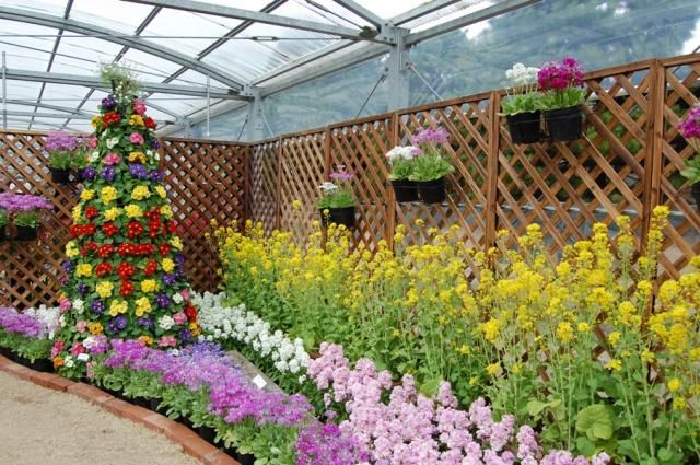 レポート　京都府立植物園へ