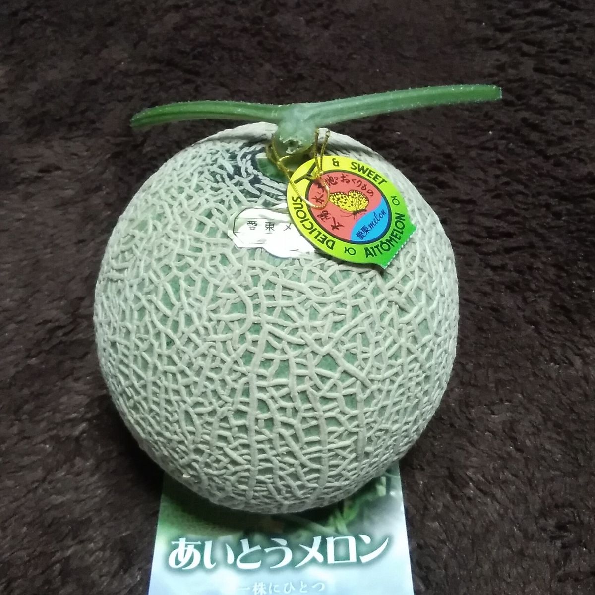 🎁頂き物😉