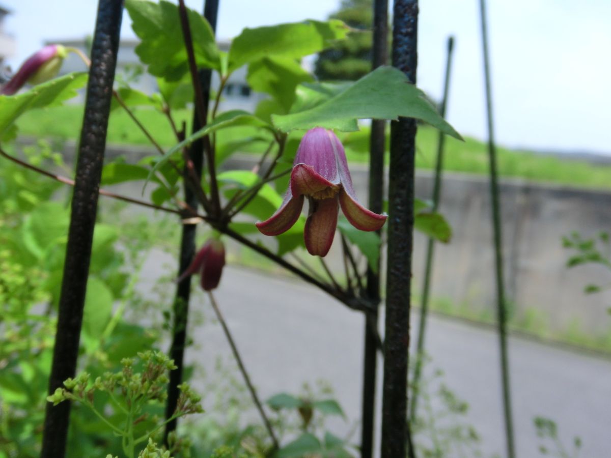 最後まで綺麗に。。。