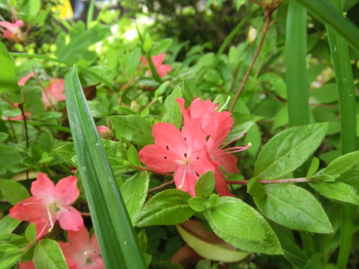 最後まで綺麗に。。。