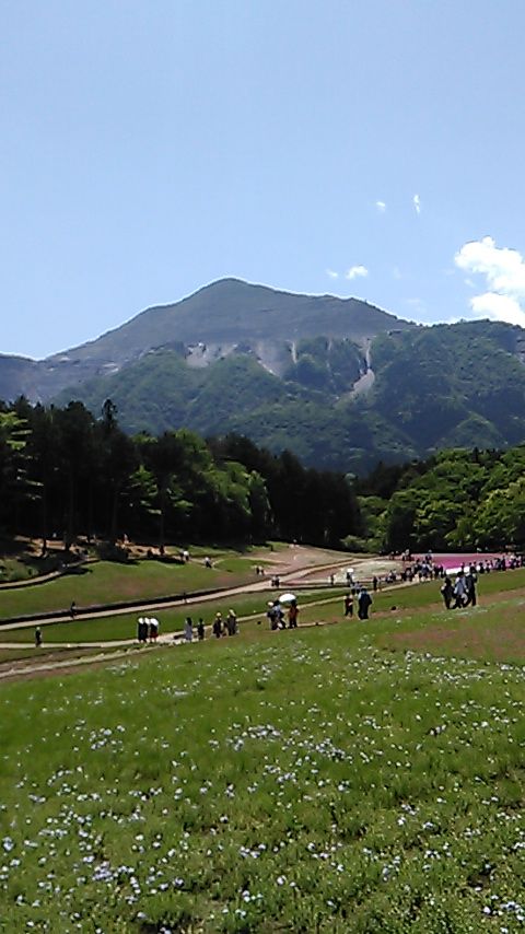 羊山公園・・・。